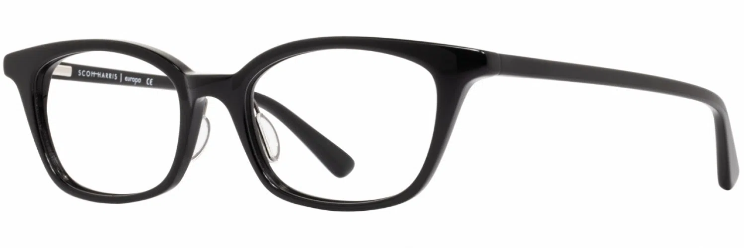 Scott Harris SH580 Eyeglasses - view 9
